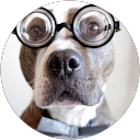 Debbie Tucker profile picture